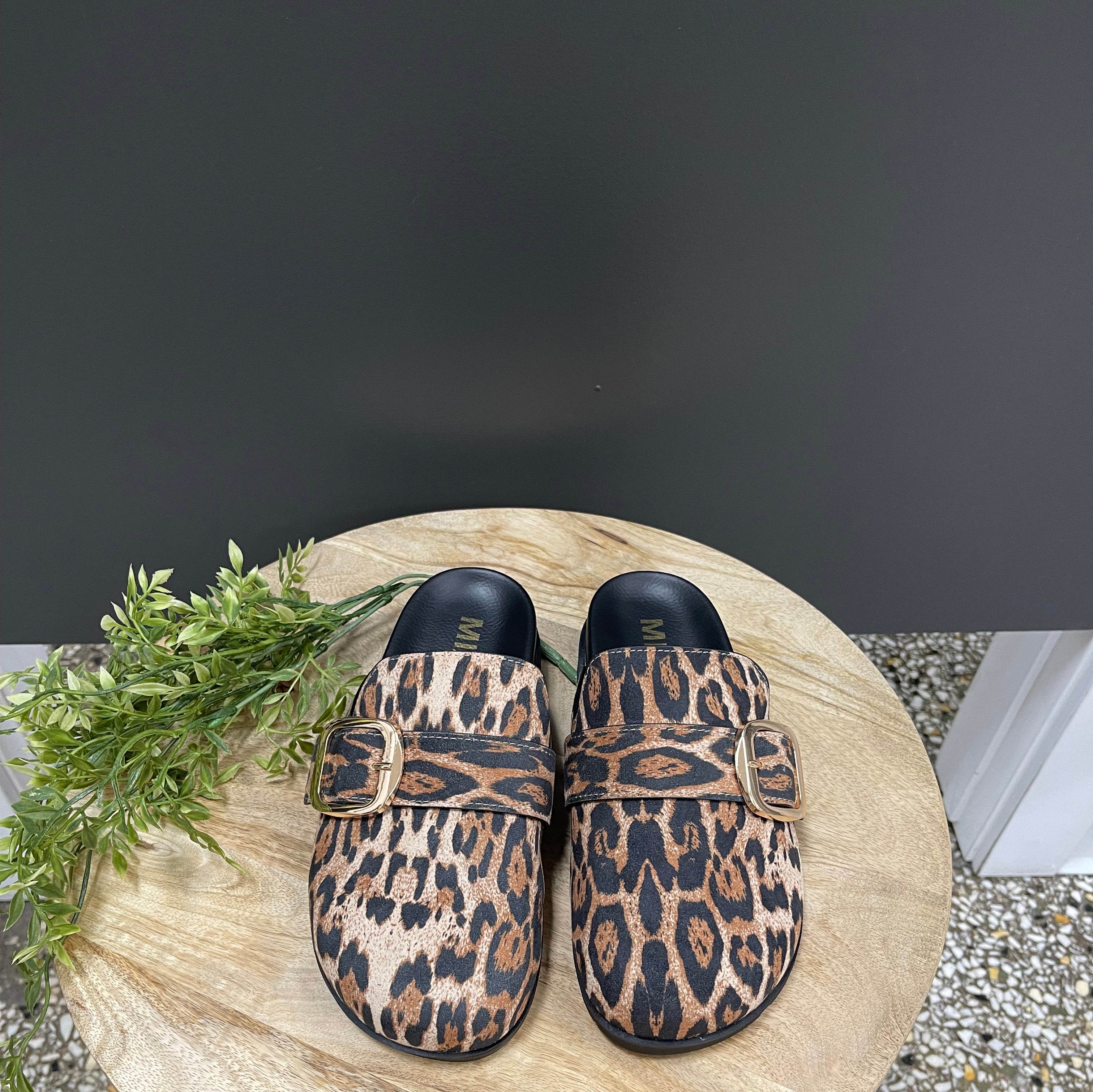 MIA Gilia Leopard Clog-Clogs-MIA-The Silo Boutique, Women's Fashion Boutique Located in Warren and Grand Forks North Dakota