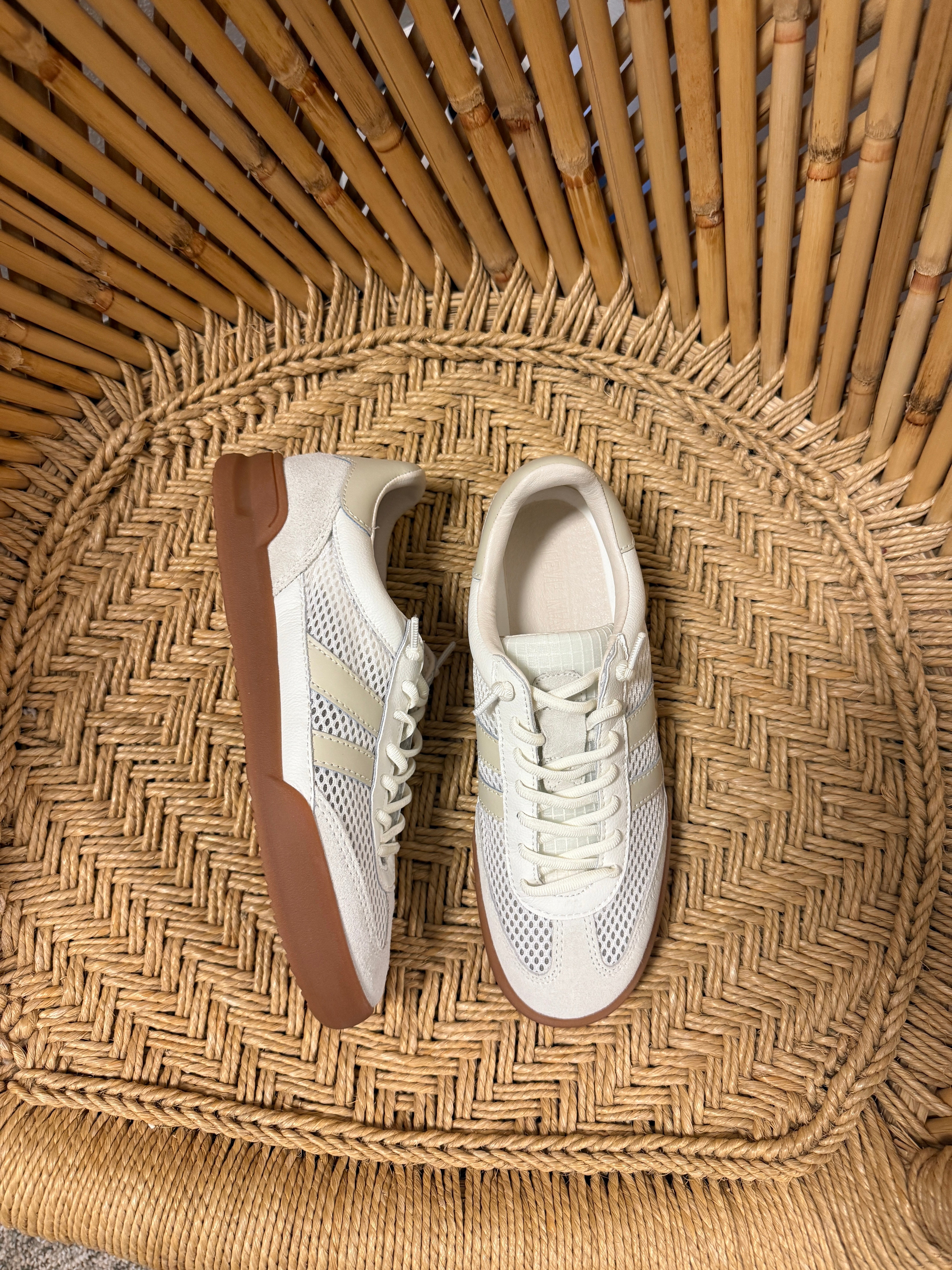 Steve Madden Verdict Shoes-Off White Multi-Sneakers-steve madden-The Silo Boutique, Women's Fashion Boutique Located in Warren and Grand Forks North Dakota
