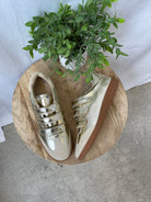 Steve Madden Momentum Gold Sneaker-Sneakers-steve madden-The Silo Boutique, Women's Fashion Boutique Located in Warren and Grand Forks North Dakota