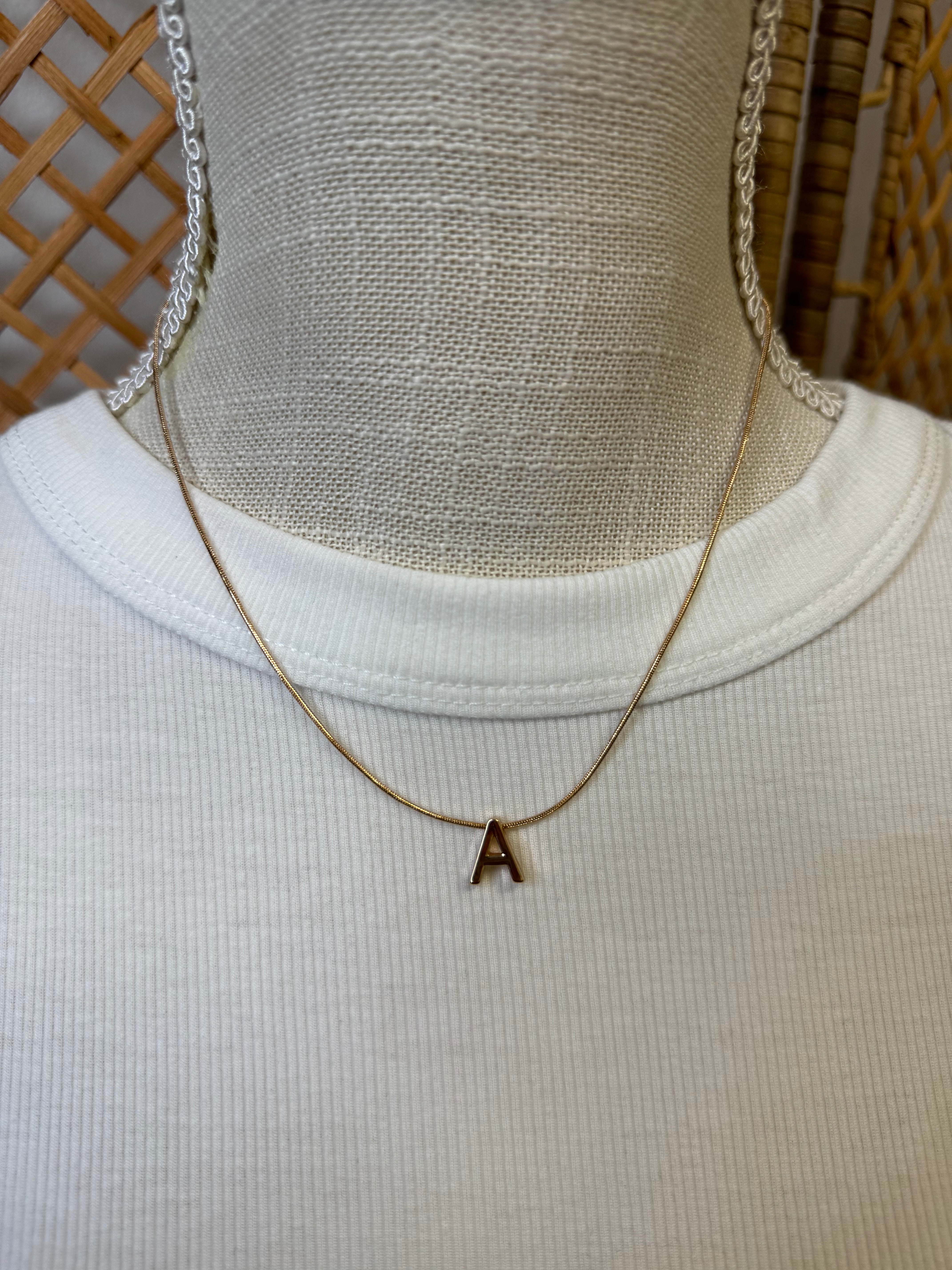 Delicate Initial Necklace-Necklaces-Fame-The Silo Boutique, Women's Fashion Boutique Located in Warren and Grand Forks North Dakota