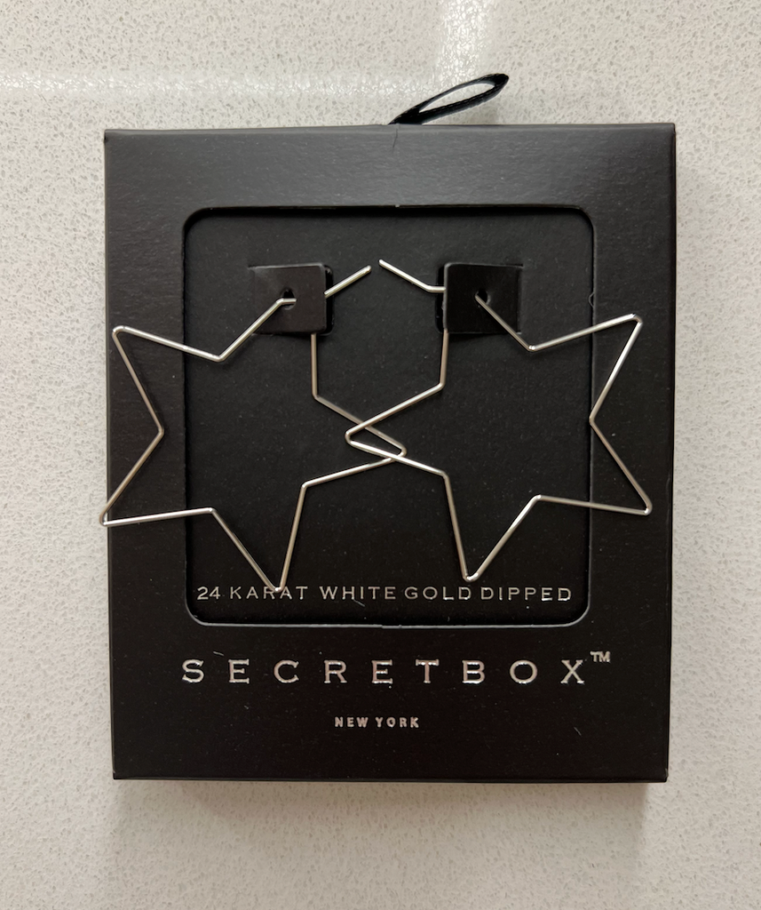 Secret Box Star Earrings-earrings-Dallas Market-The Silo Boutique, Women's Fashion Boutique Located in Warren and Grand Forks North Dakota